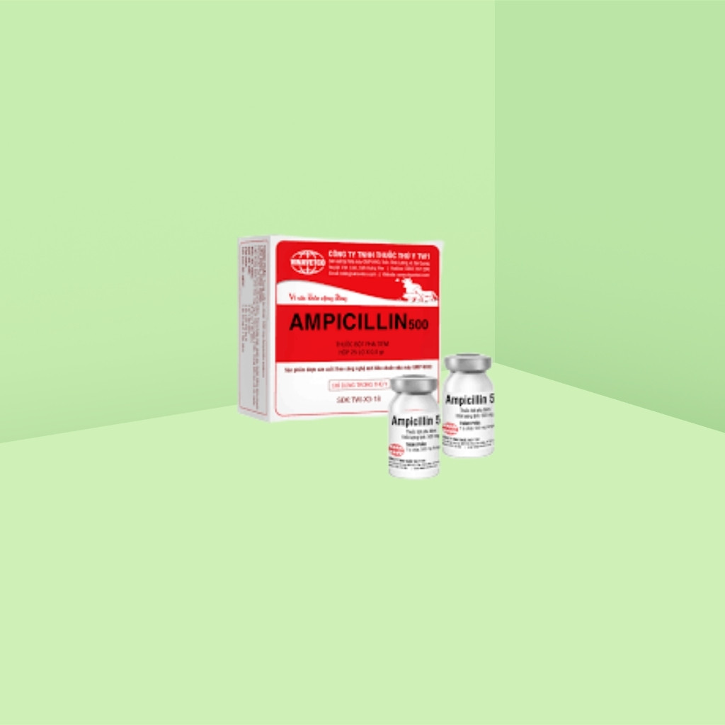 Ampicillin 500 mg